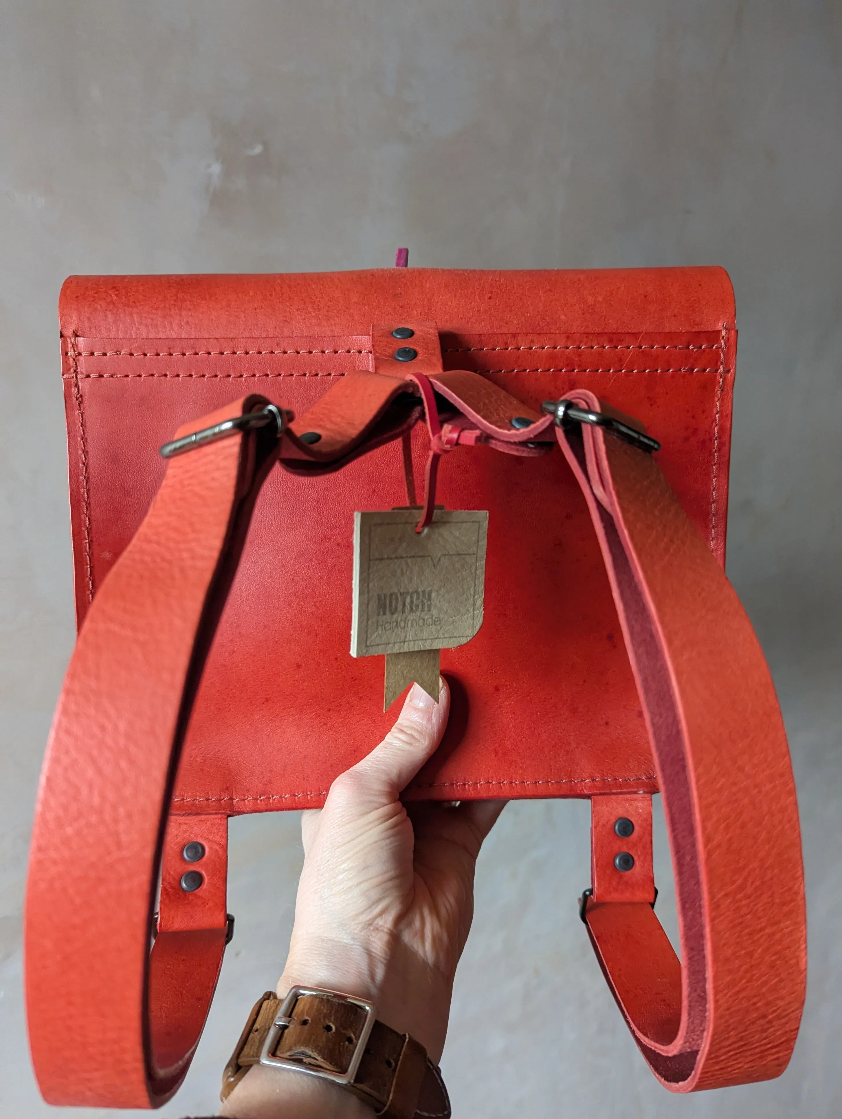 ** SALE ** Red Bagasaurus Backpack