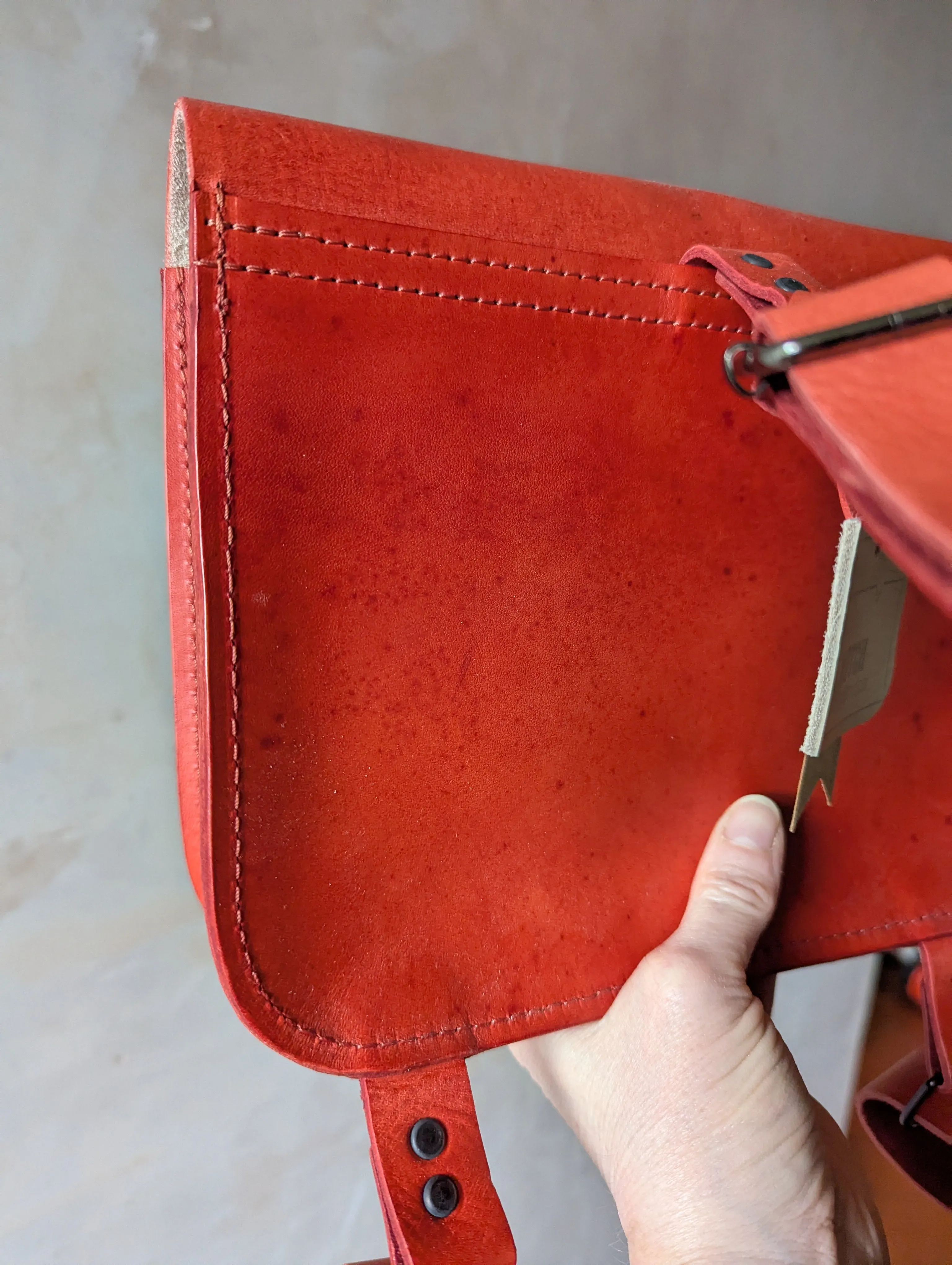** SALE ** Red Bagasaurus Backpack