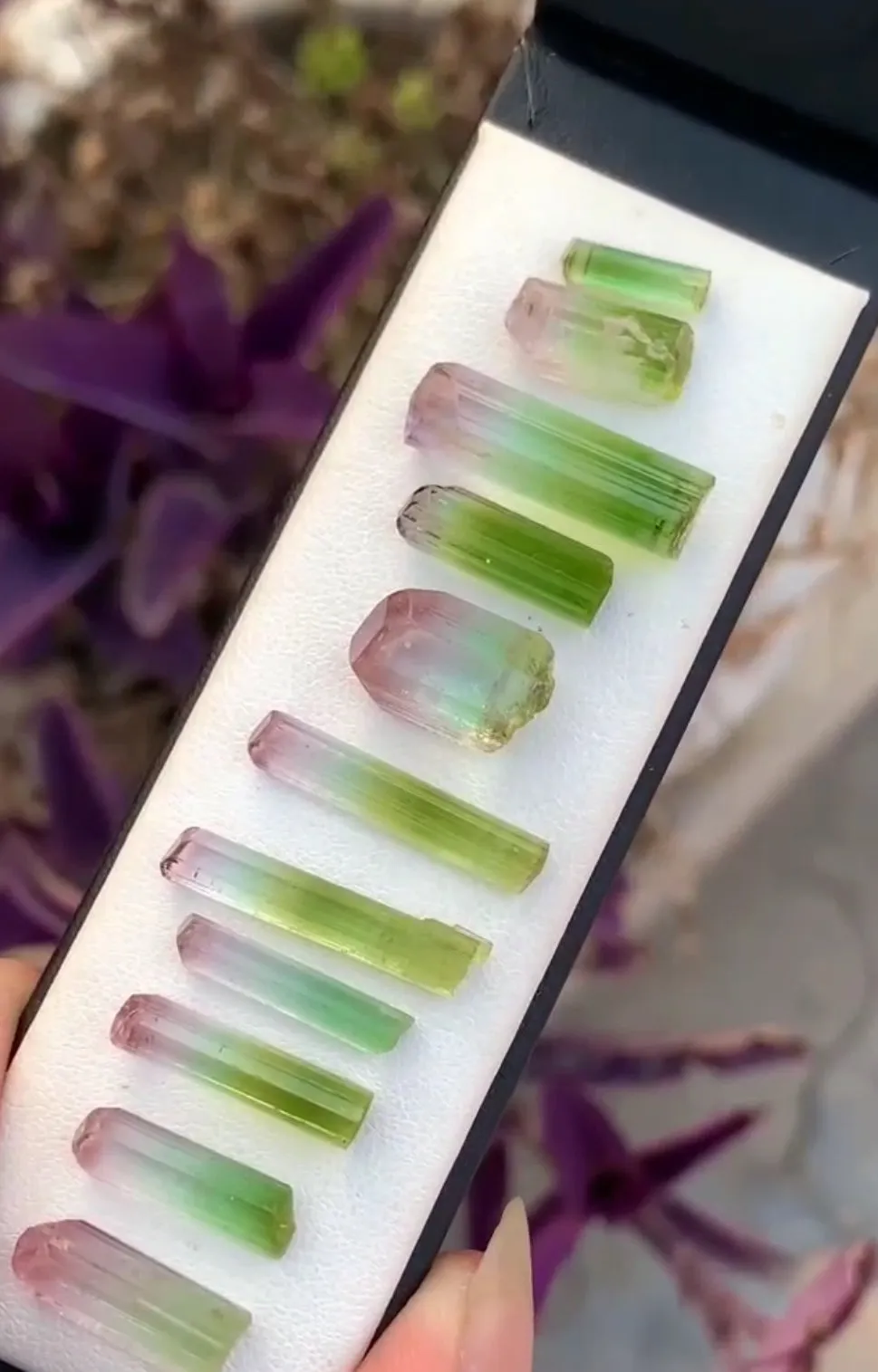 53 Carats Rare Raw Bi color Tourmaline crystals for Faceting