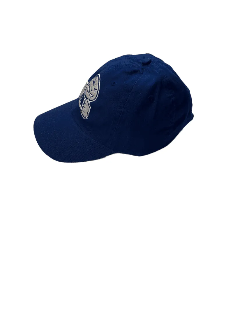ANGER MANAGEMENT LifeStyle Iconic Cap | Big Face Logo | Essential Cap | Navy Blue | Unisex