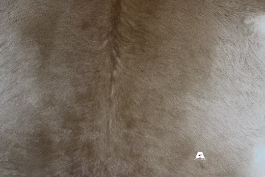 Beige  Calfskin Rug Size 3ft x 3ft - Premium Quality Cowhide Rug