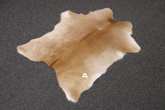 Beige  Calfskin Rug Size 3ft x 3ft - Premium Quality Cowhide Rug