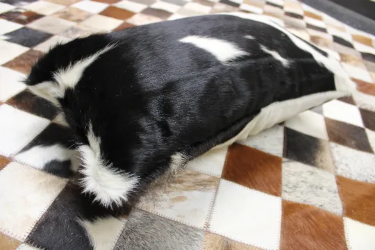 Cowhide Pillow 22"x12"  Black & White Cowhide Pillow Cover - New Cowskin Cushion Cover