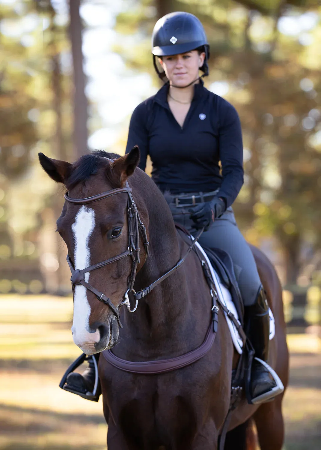 Free Motion Breastplate