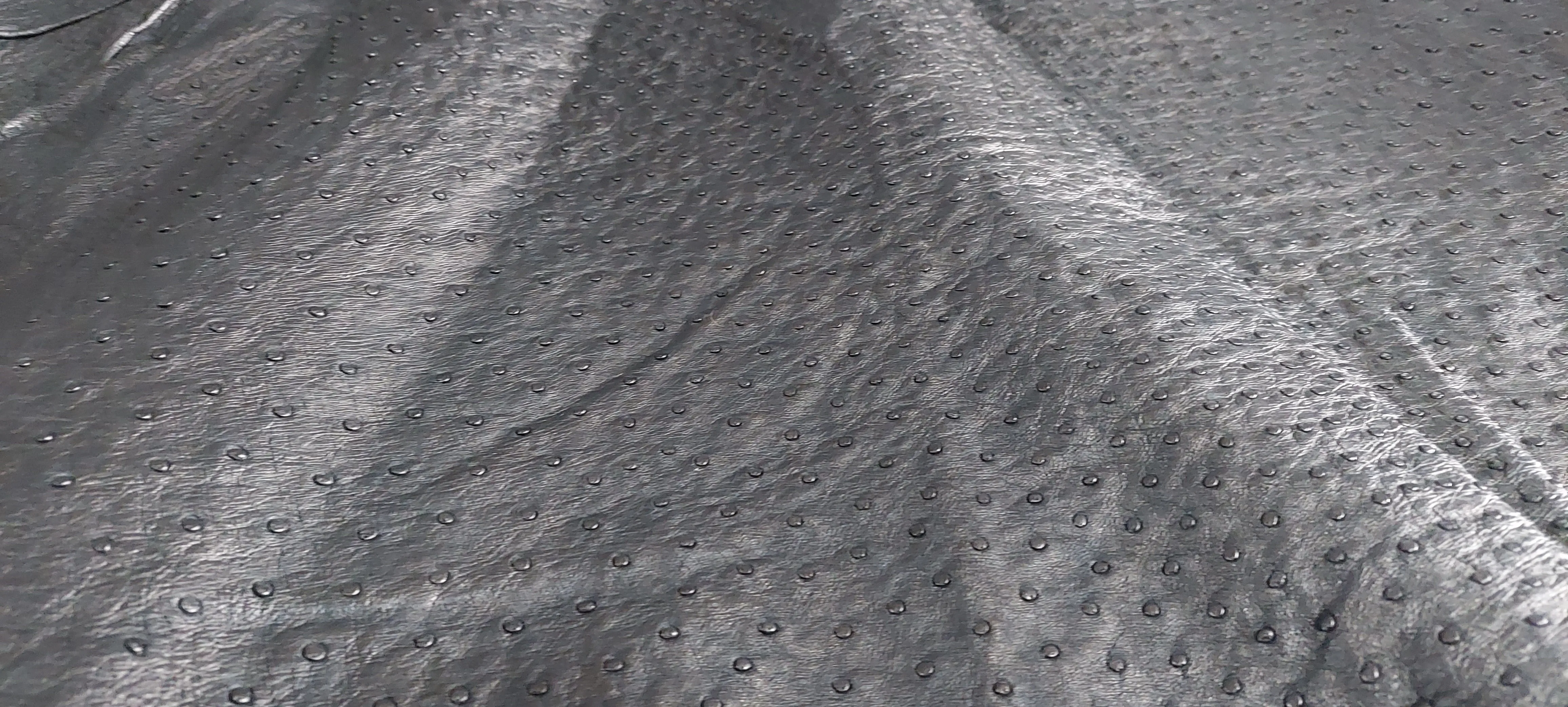 Genuine Ostrich Leather Hide - Ebony Gold