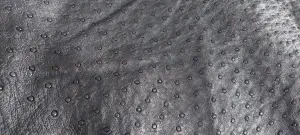 Genuine Ostrich Leather Hide - Ebony Gold