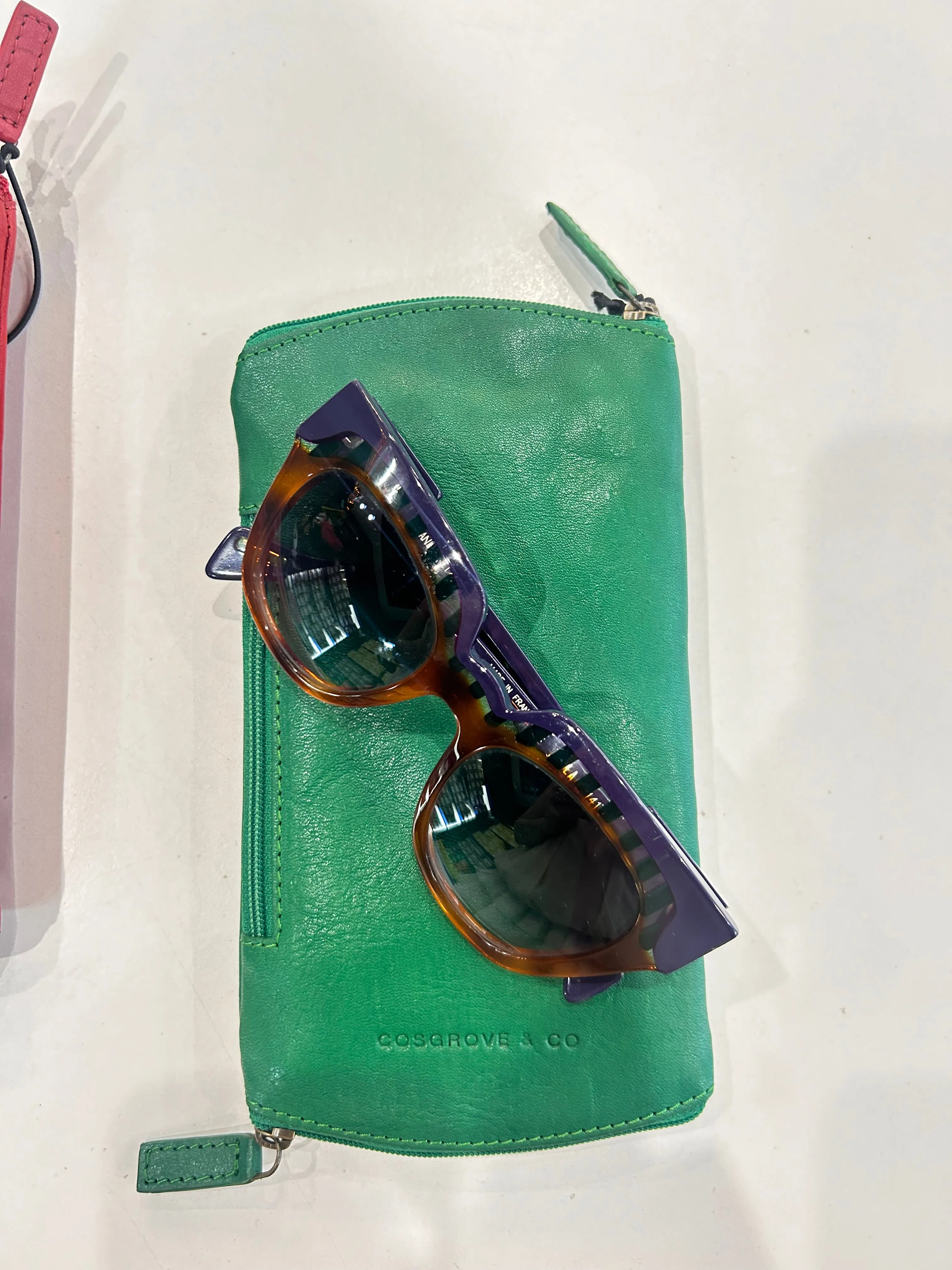 Glasses Case