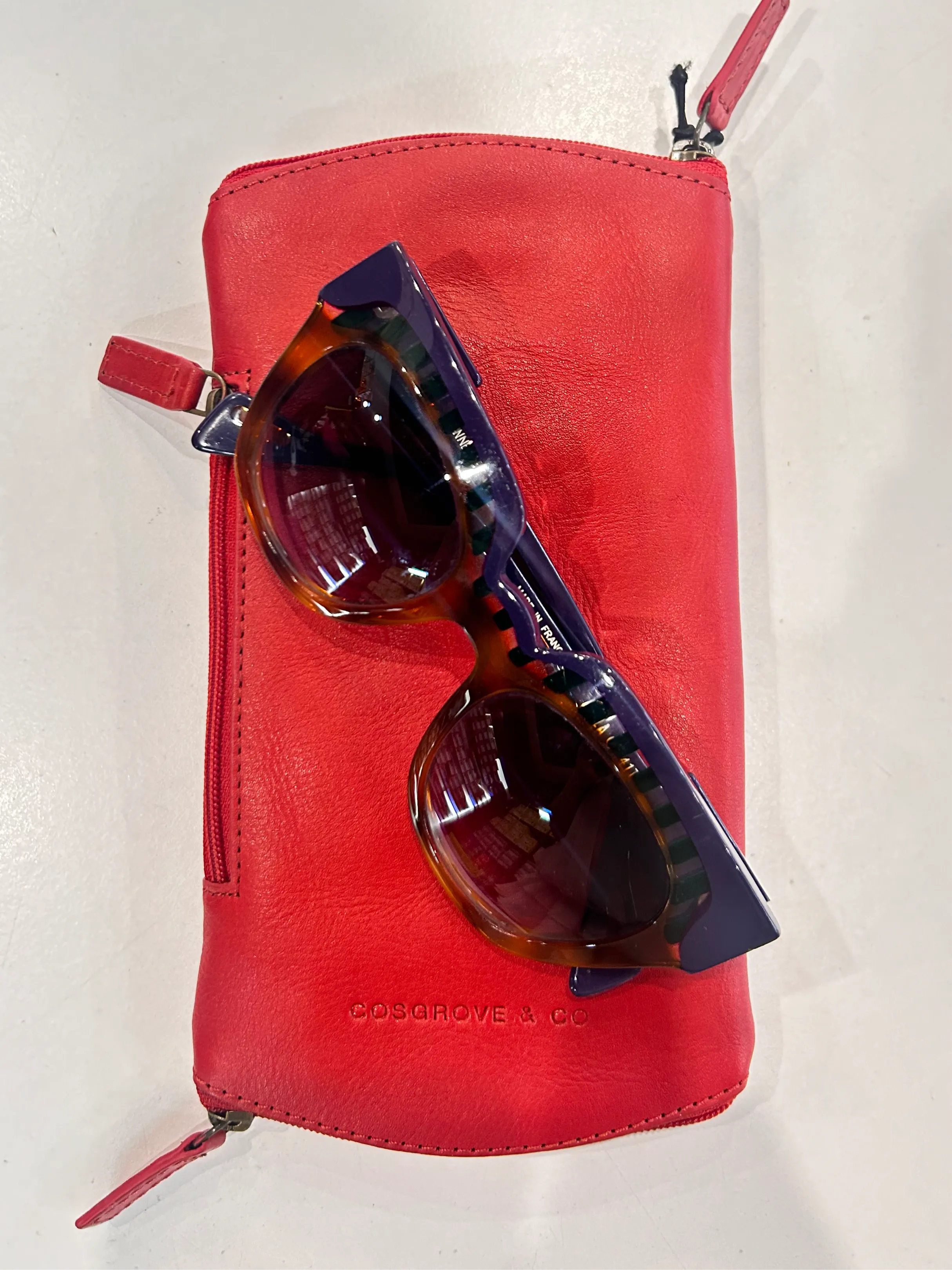 Glasses Case