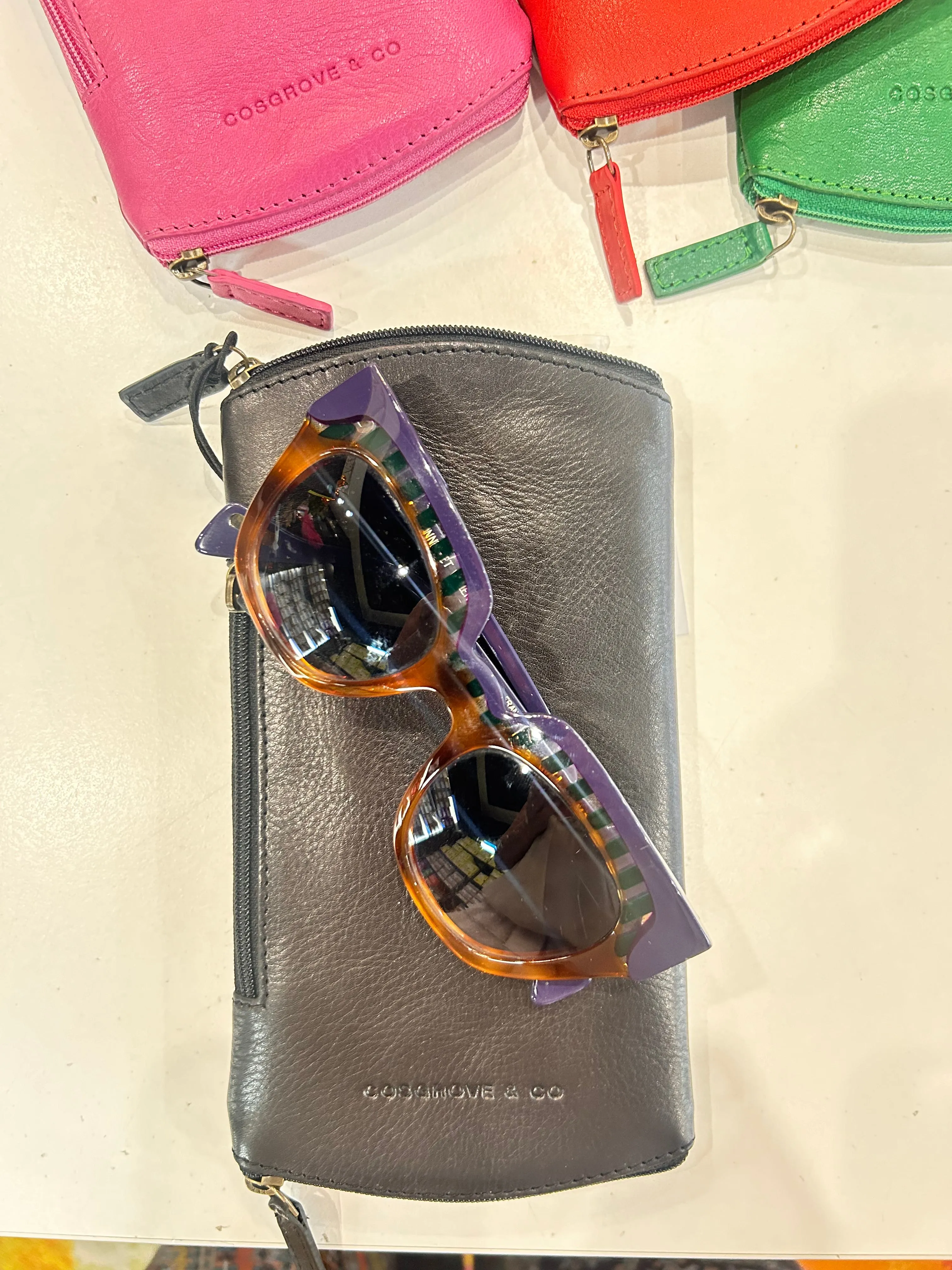 Glasses Case
