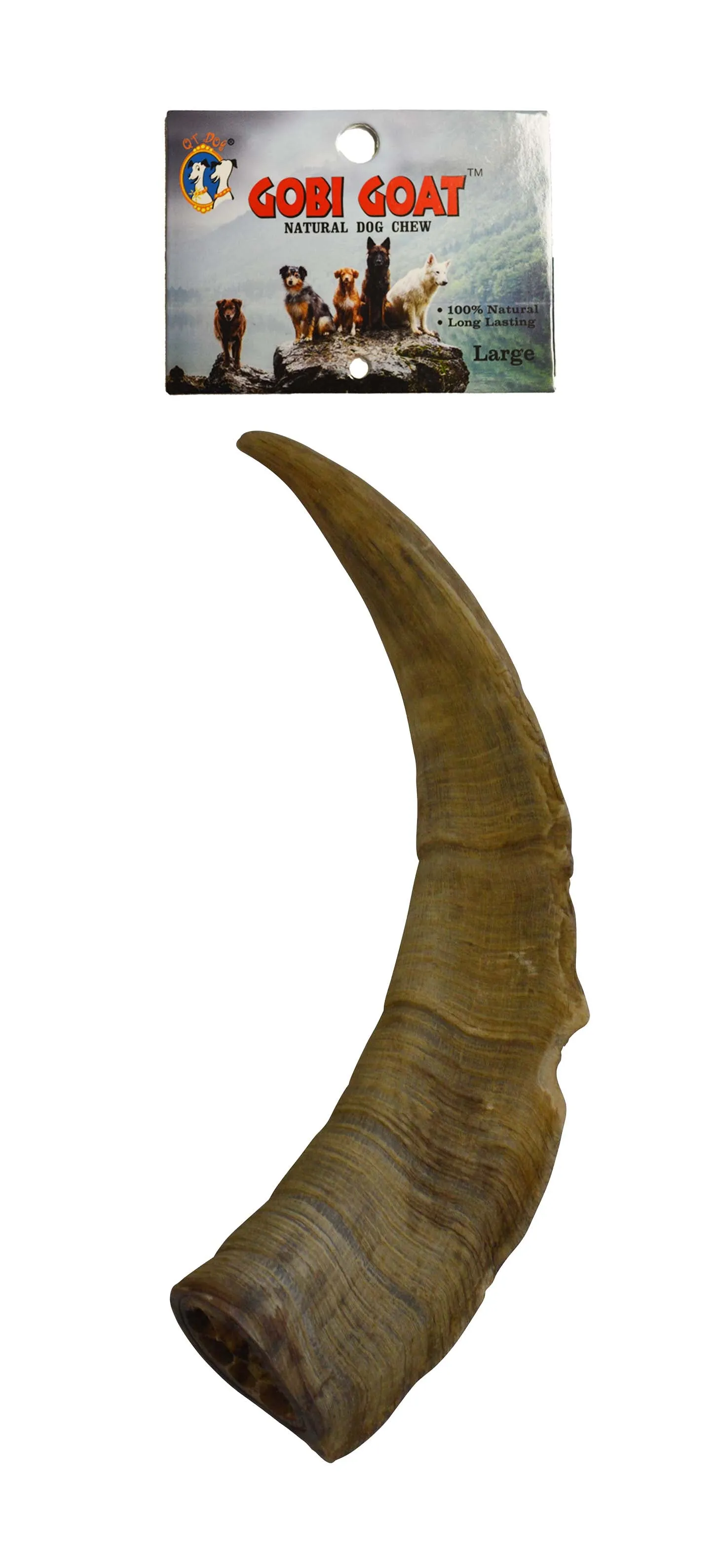 Gobi Goat Horn