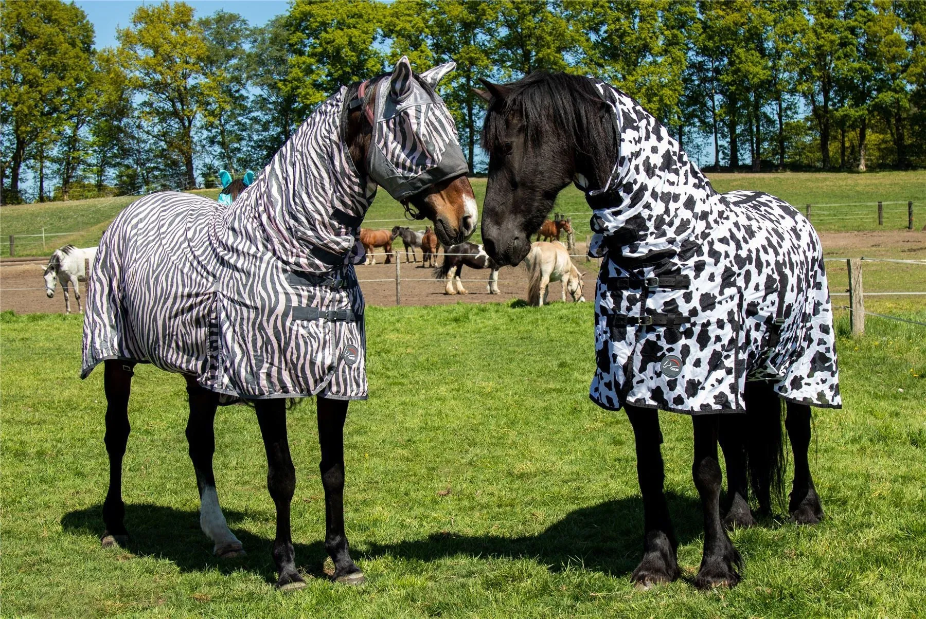 HKM Fly Rug With Neck Cow
