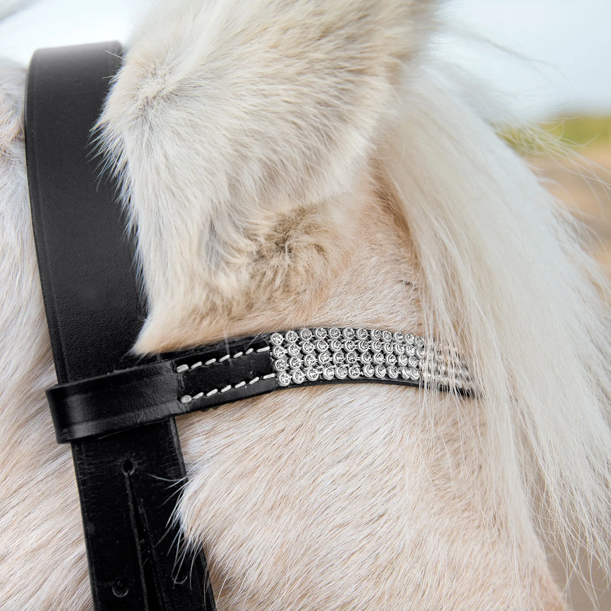 Horze Pony Bridle Black & White