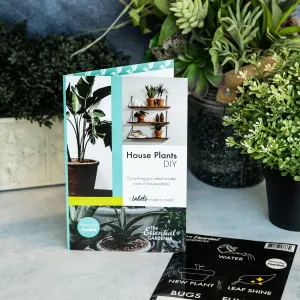 House Plants DIY - Recipes & Labels