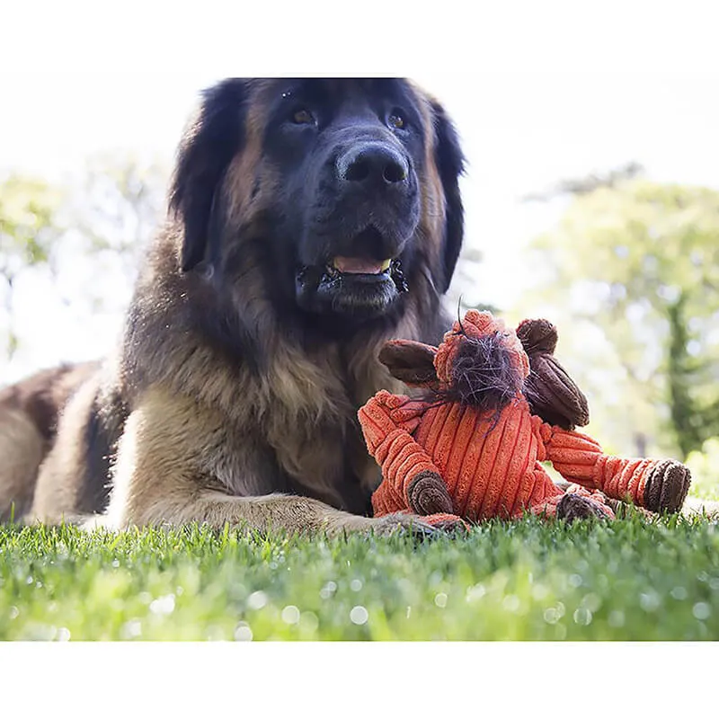 Hugglehounds Woodlands Knottie Moose