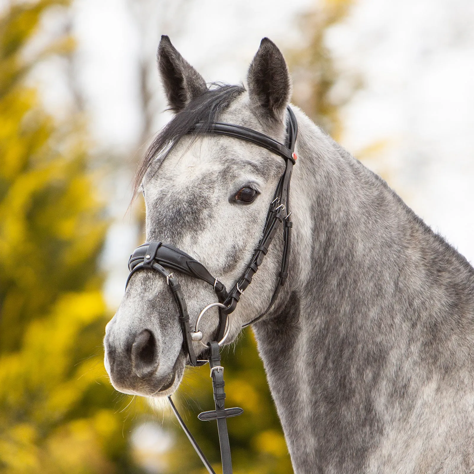 Kieffer Ultrasoft® Unah Snaffle Bridle