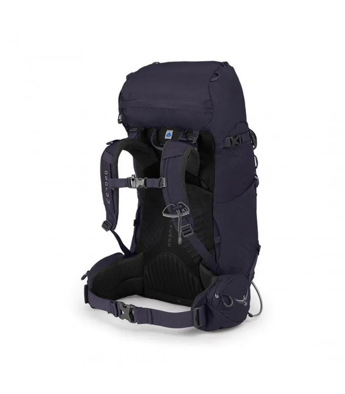 Kyte 36 Purple