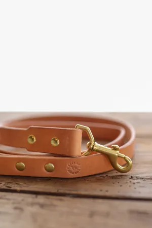 Leather Dog Leash | Ballad of the Bird Dog