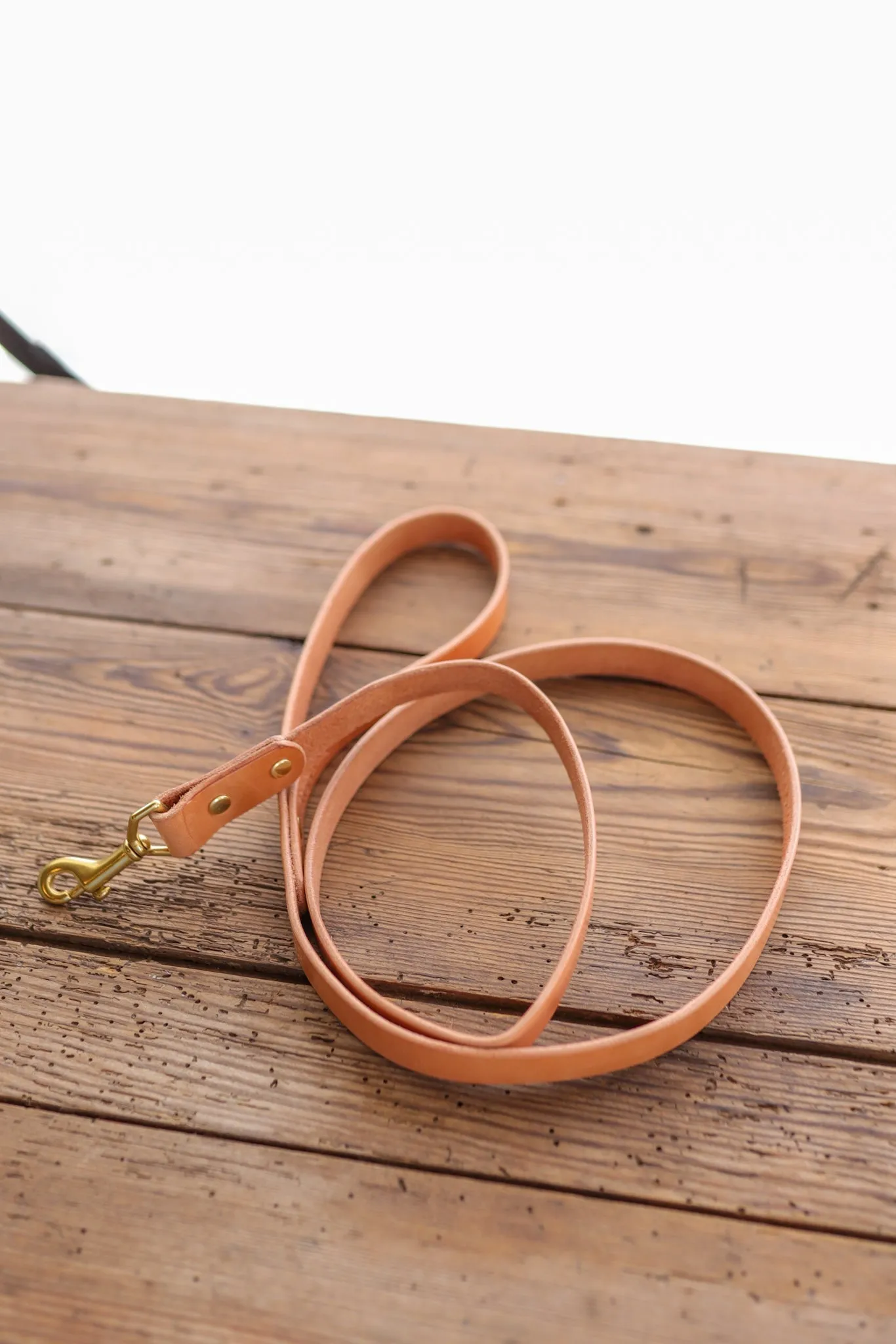 Leather Dog Leash | Ballad of the Bird Dog