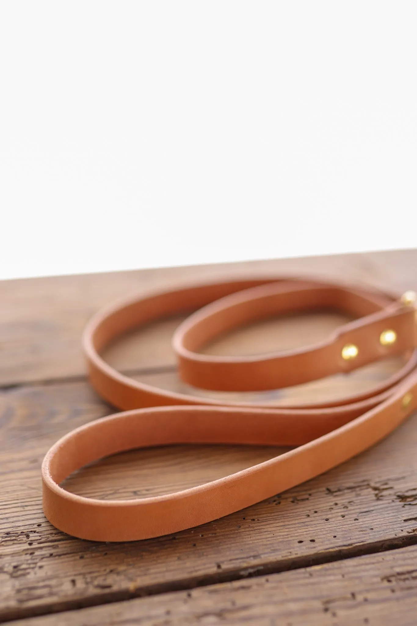 Leather Dog Leash | Ballad of the Bird Dog