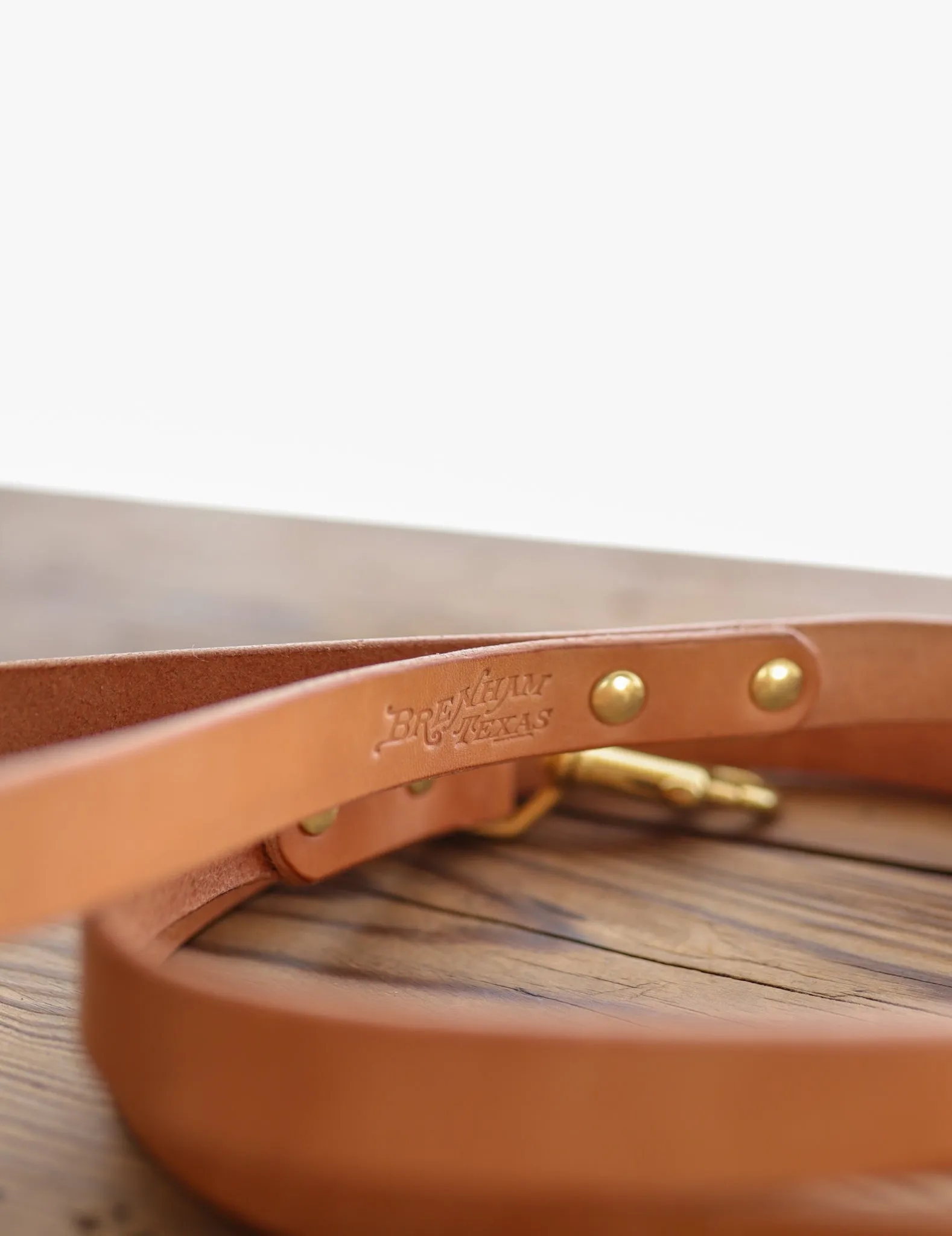 Leather Dog Leash | Ballad of the Bird Dog