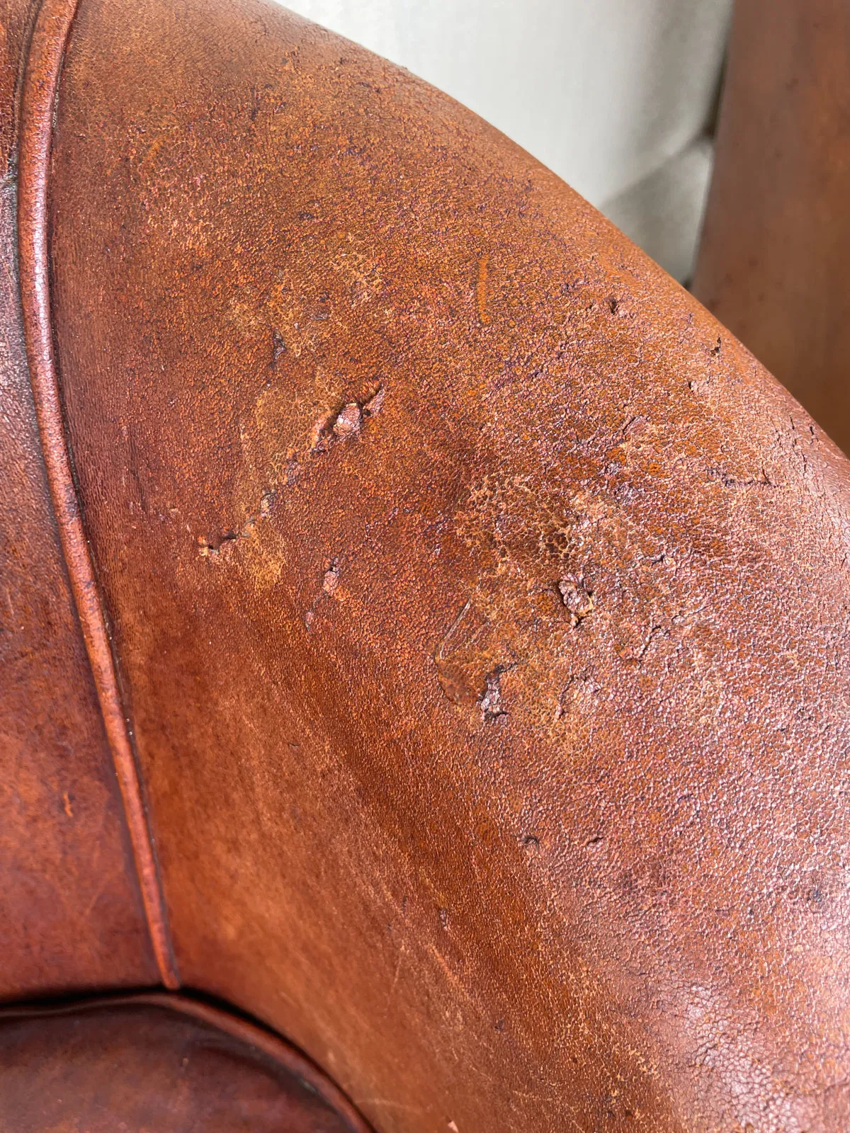 Pair Distressed Vintage European Leather Tub Chairs with Brass Nailhead Detail
