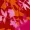 Pink And Orange Floral One Shoulder Frill Detail Top