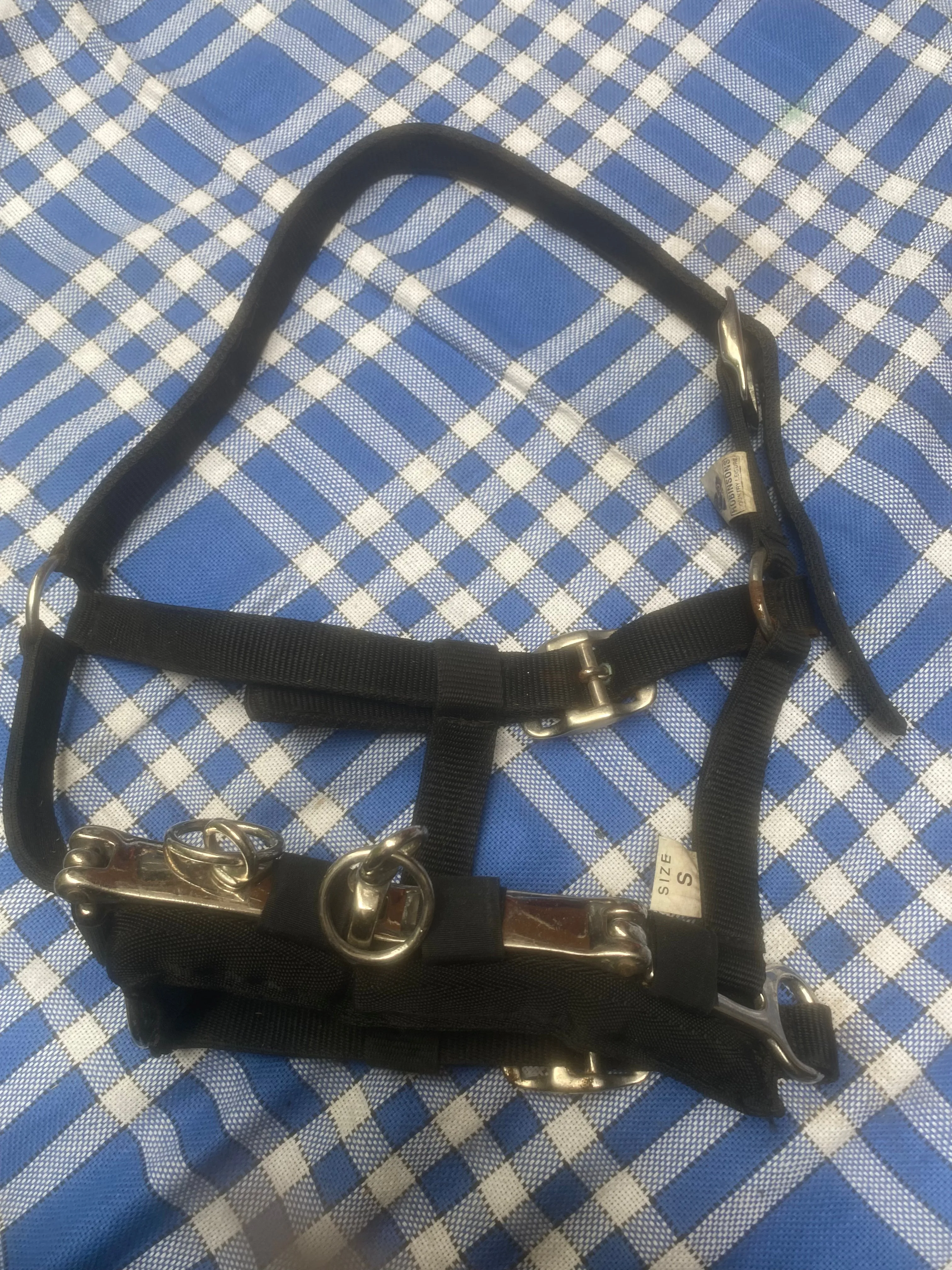 Robinsons black pony size cavasson head collar