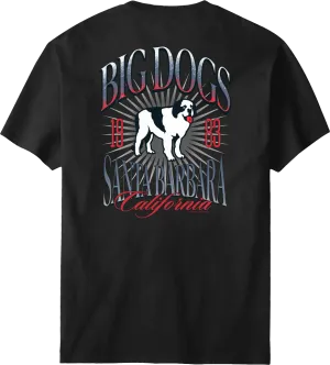 Santa Barbara Logo T-shirt
