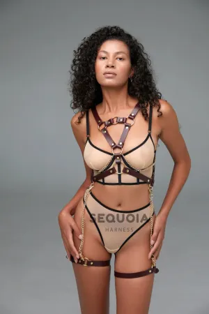 Set "Viola"