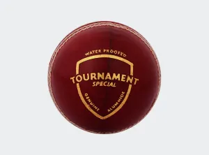 SG Tournament™ Special Leather Ball