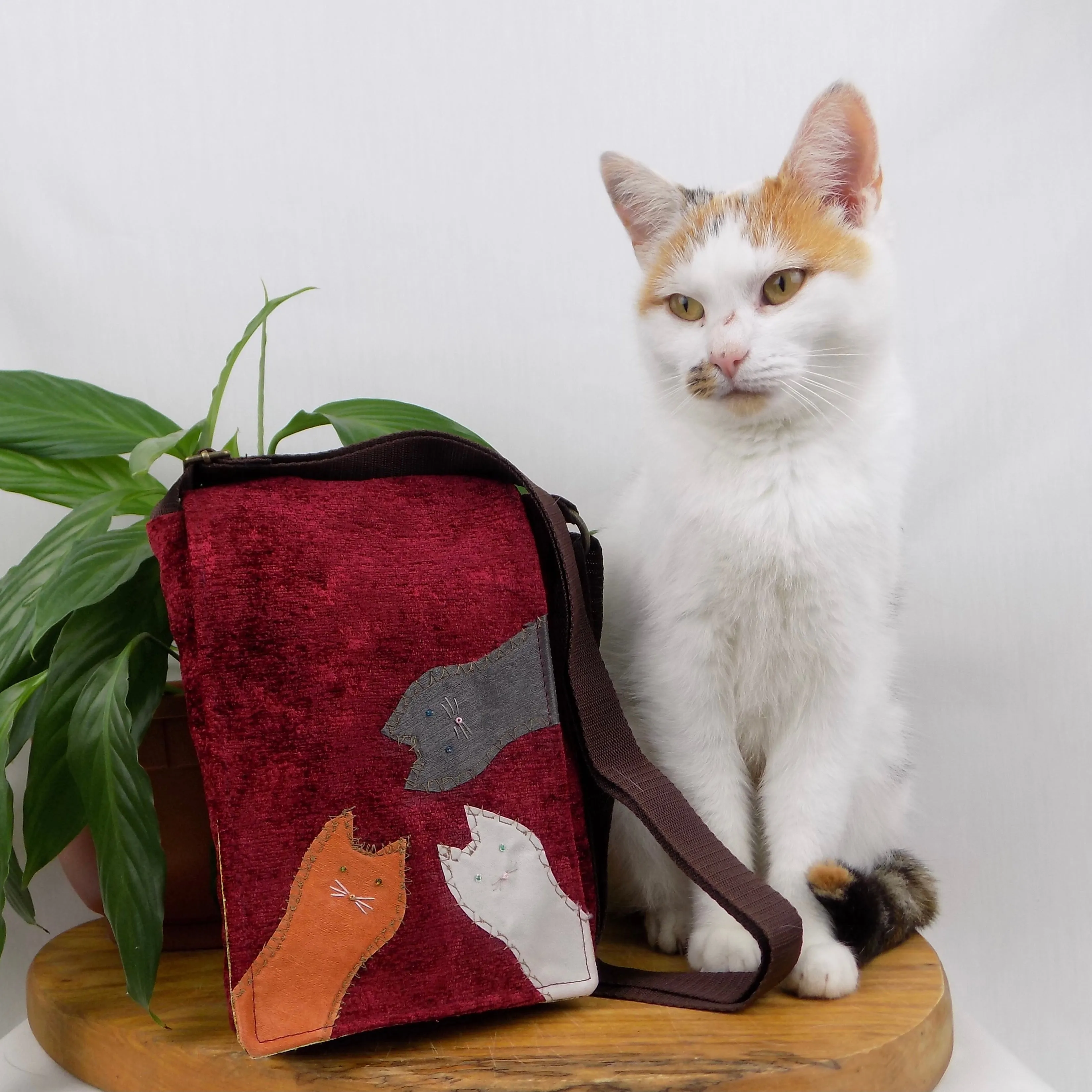Small messenger bag