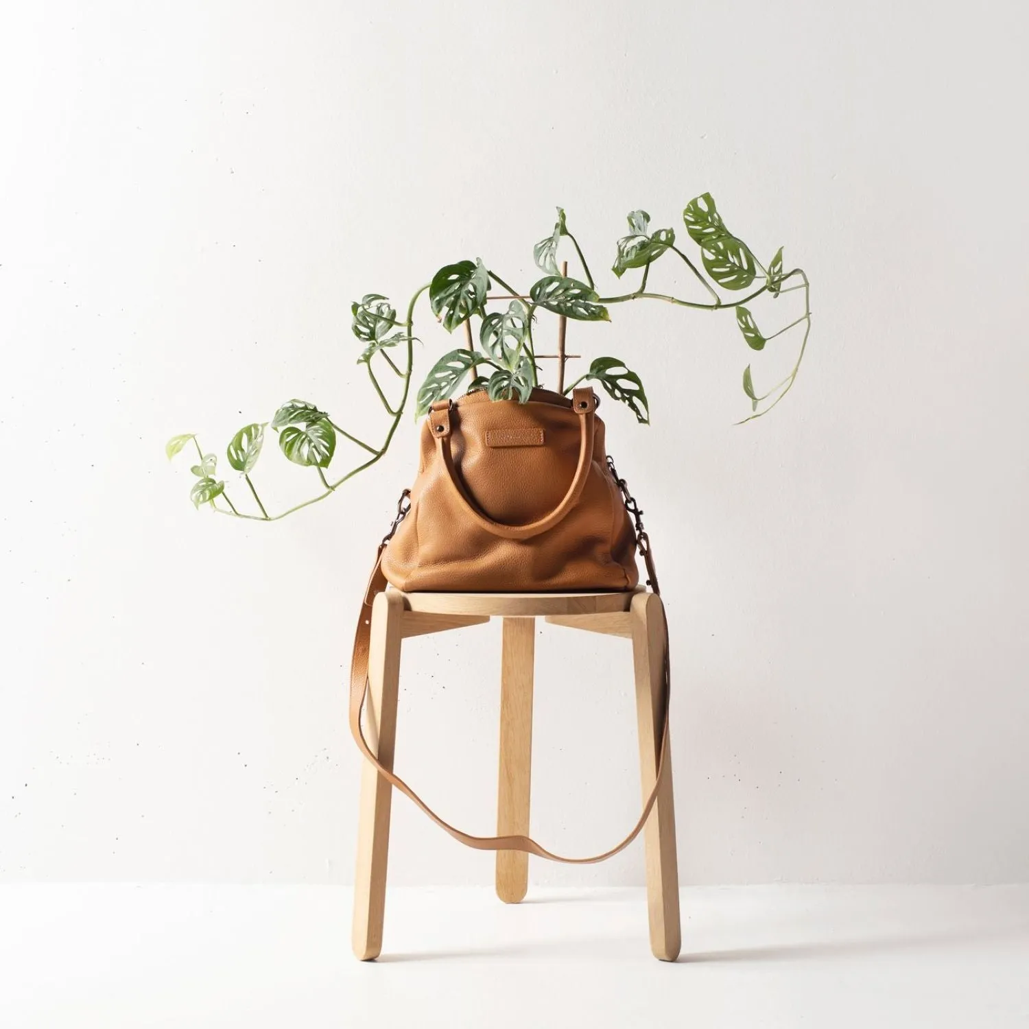 Status Anxiety Last Mountains Leather Crossbody