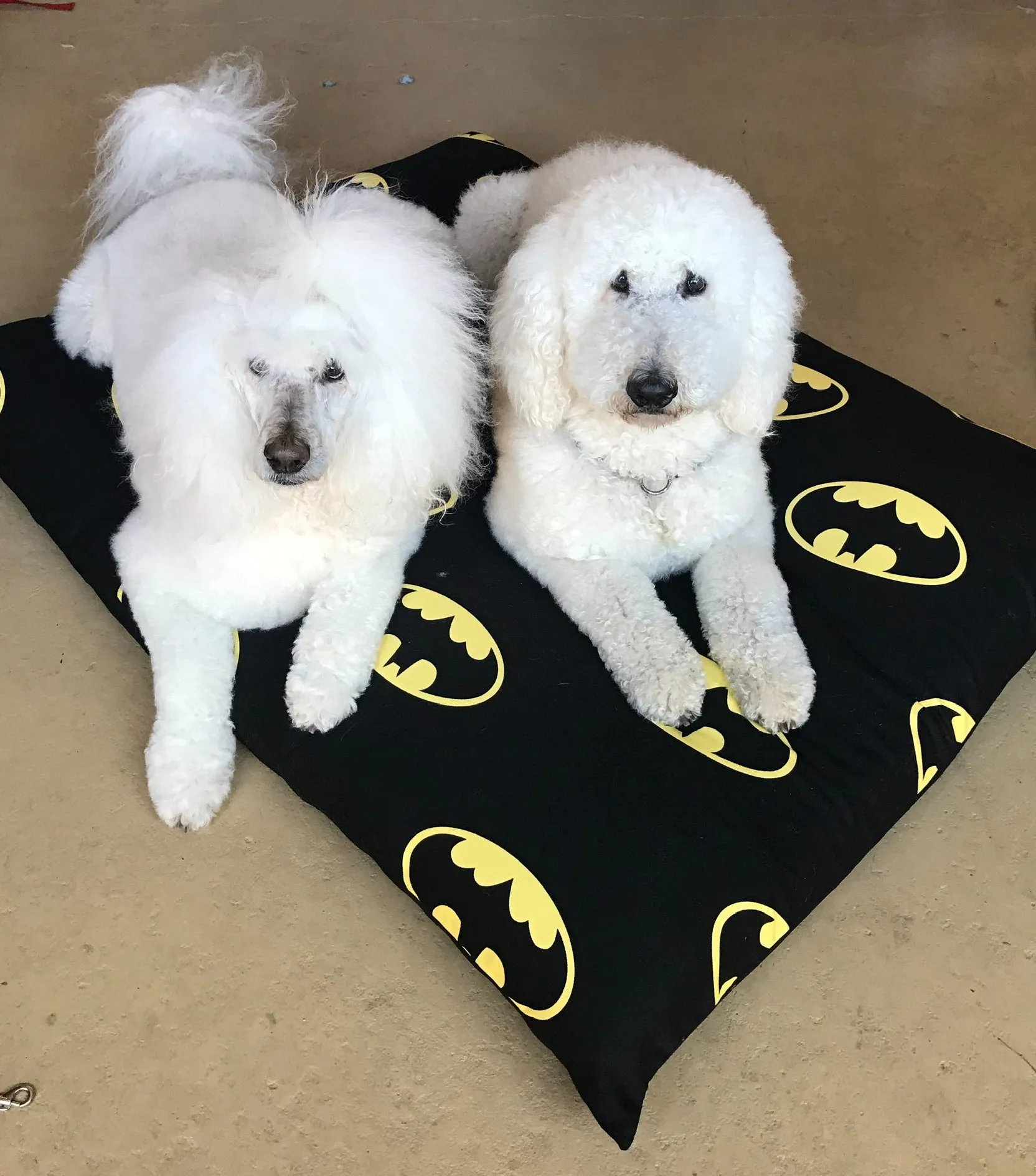 Stuff It cover only Batman design washable fabric, recycled dog bed, kennel bed puppy mastiff Dane big large