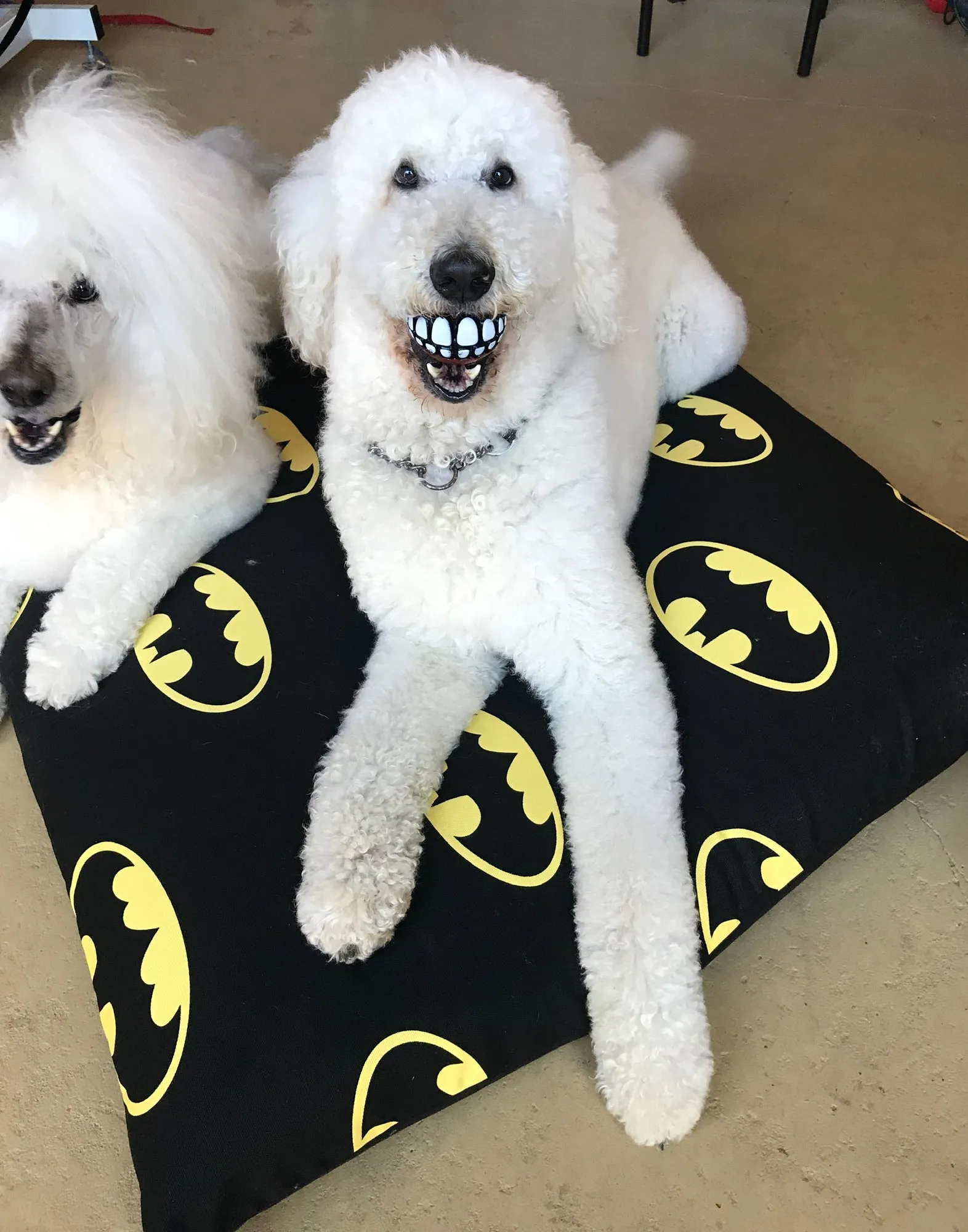 Stuff It cover only Batman design washable fabric, recycled dog bed, kennel bed puppy mastiff Dane big large