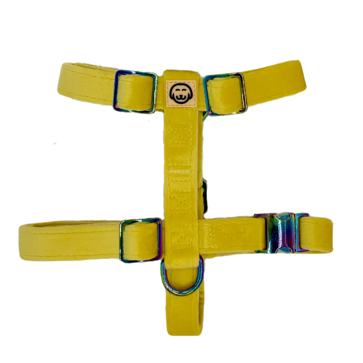 Sunshine Velvet - Adjustable Strap Dog Harness