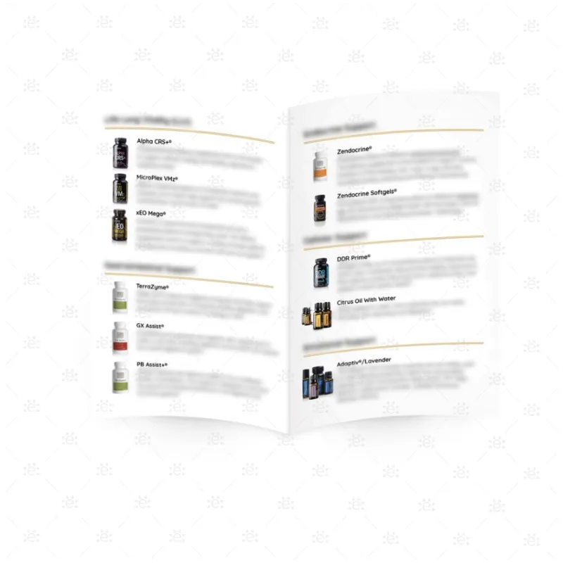 Symphony of the Cells Healthy Foundation - Single Brochure
