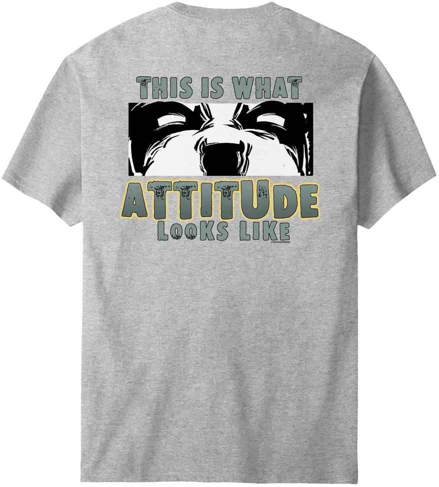 This Is What Attitude Looks Like T-Shirt